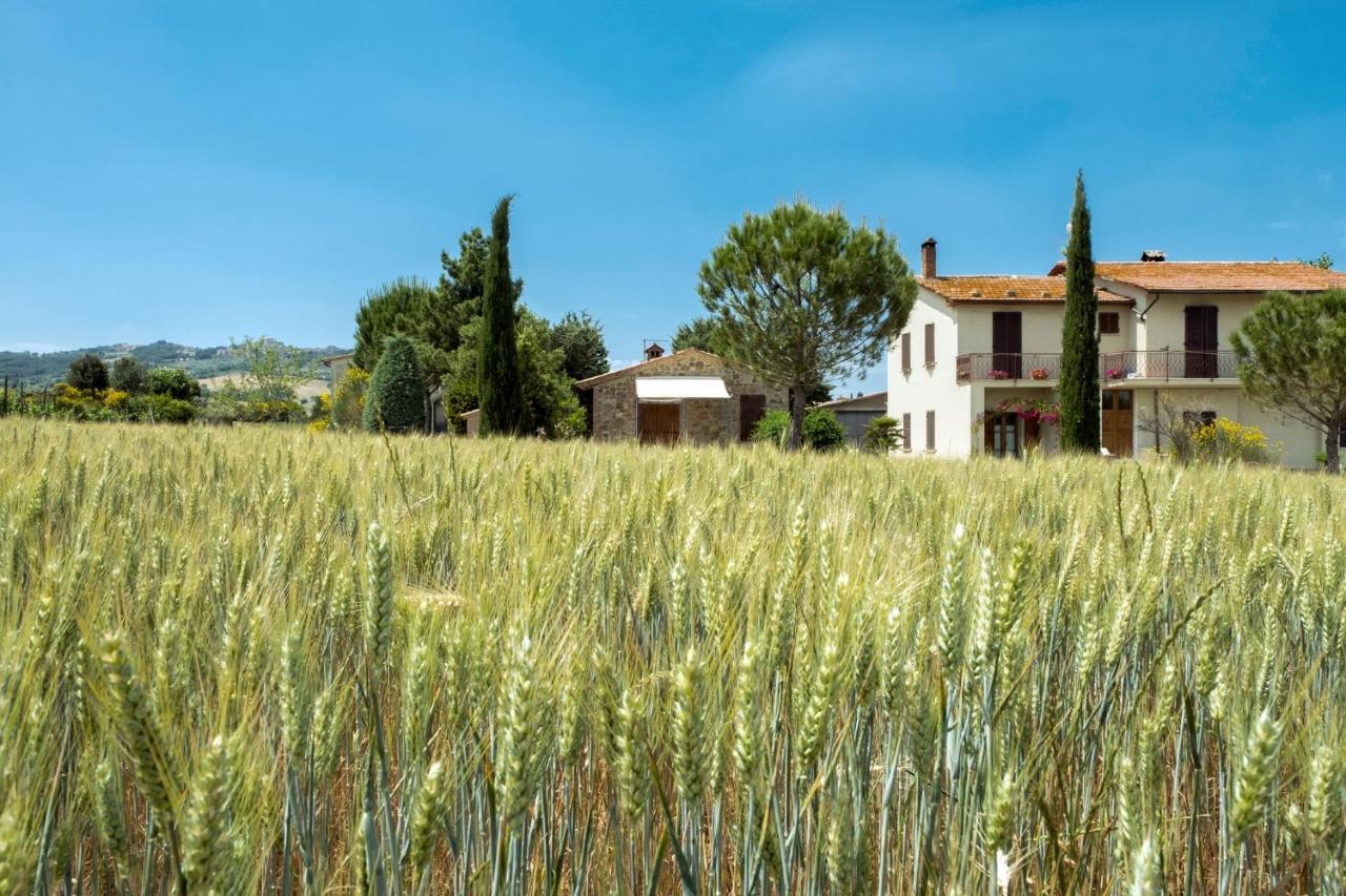 Agriturismo San Marcello Castiglione dʼOrcia Eksteriør bilde