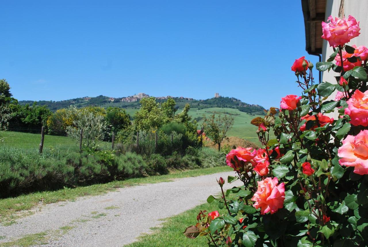 Agriturismo San Marcello Castiglione dʼOrcia Eksteriør bilde